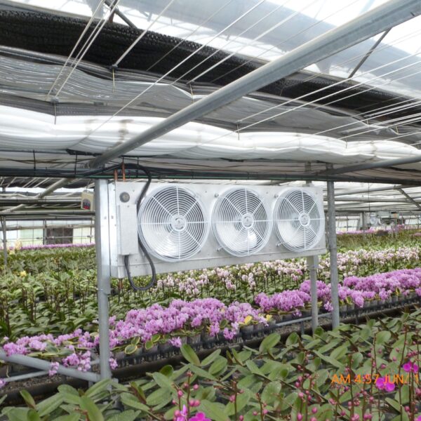 Facility Horticulture Flower Vinyl Greenhouse Temperature Management