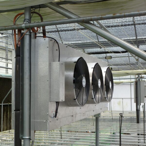 Installation of evaporator for cooling and air conditioning in vinyl greenhouse