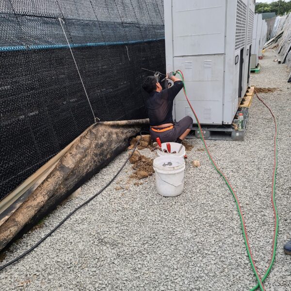 Vinyl greenhouse flower cultivation dehumidification facility construction