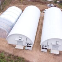 Dome house oyster mushroom cultivation