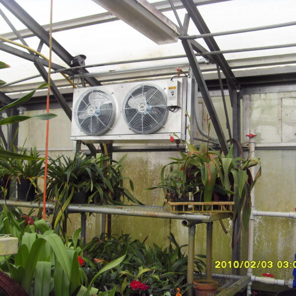 Glass Greenhouse Rare Orchid Indoor Unit