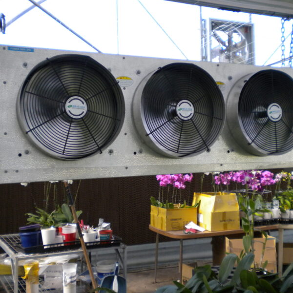 Greenhouse agricultural cooler evaporator installation