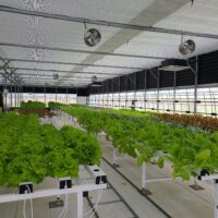 Indoor Organic Hydroponics Environment Control Equipment