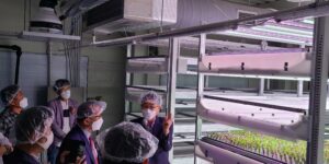 Vertical Agricultural Hydroponics Smart Farm Equipment